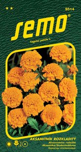 Aksamitník rozkladitý - Petit oranžový 1g