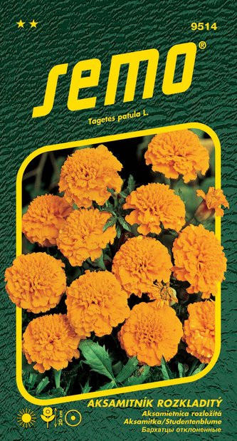 Aksamitník rozkladitý - Petit oranžový 1g