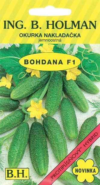 Okurka nakl. Holman - Bohdana F1 hu 2 g
