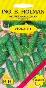 Okurka nakl. Holman - Viola F1 hr 2 g