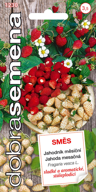 Dobrá semena Jahodník měsíční - směs 0,15g (ZÁRUKA 2024)