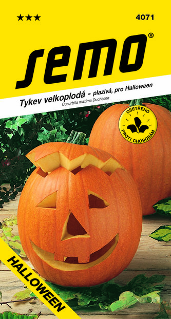 Tykev plazivá - Gran Gigante (Halloween) 2g
