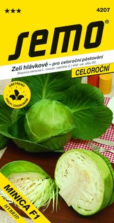 Zelí jarní - Minica F1 rané 50s