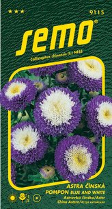 Astra čínská - Pompon blue and white 0,5g