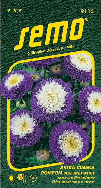 Astra čínská - Pompon blue and white 0,5g