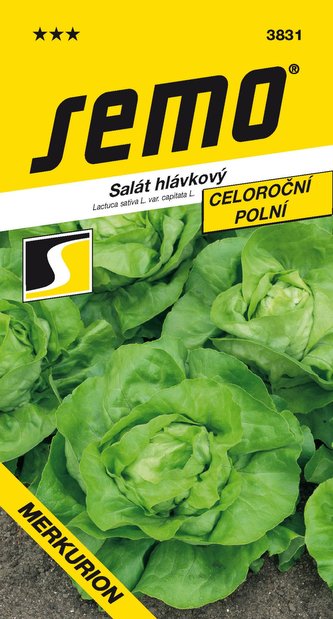 Salát celoroční - Merkurion PROFI polní 0,6g
