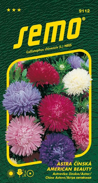 Astra čínská - American beauty směs 0,5g (ZÁRUKA 2024)