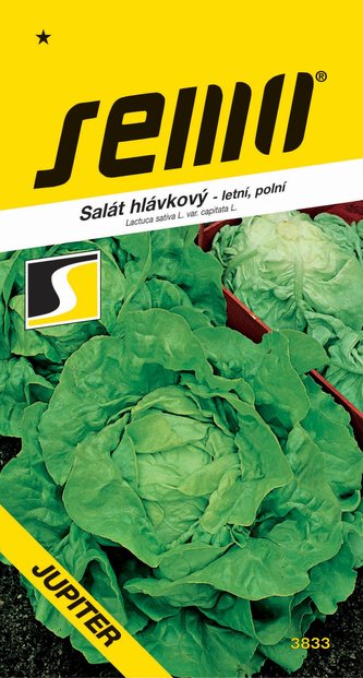 Salát letní - Jupiter polní 0,3g  - série MAXI