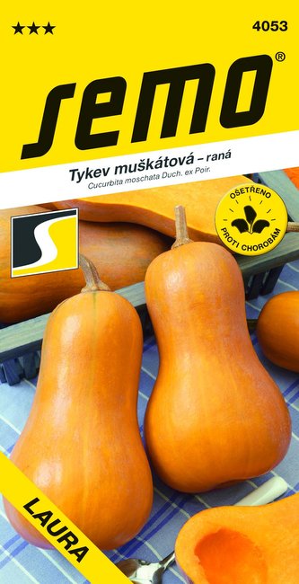Tykev muškátová - Laura (typ Butternut) konz.vař 2g
