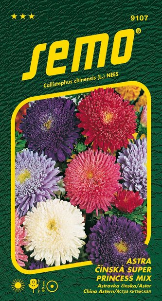 Astra čínská - Super princess směs 80cm 0,5g (ZÁRUKA 2024)