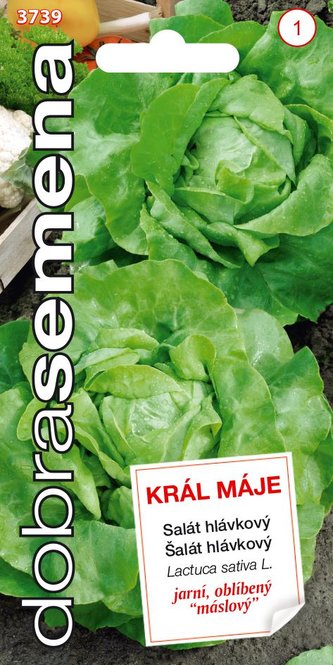Dobrá semena Salát hlávkový - Král Máje 0,4g