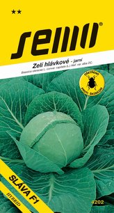Zelí jarní - Sláva F1 rané 50s
