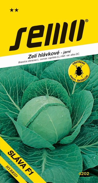 Zelí jarní - Sláva F1 rané 50s