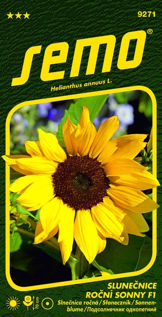 Slunečnice roční - Sonny F1 8s
