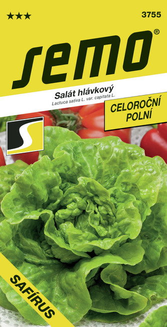 Salát k rychlení - Safírus polní 0,5g