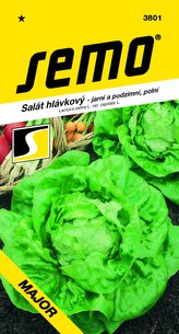 Salát jarní - Major polní 0,3g