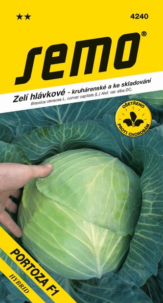 Zelí kruhárenské - Portoza F1 pozdní 40s