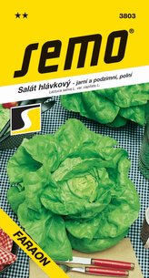 Salát jarní - Faraon polní (podzimní) 0,6g