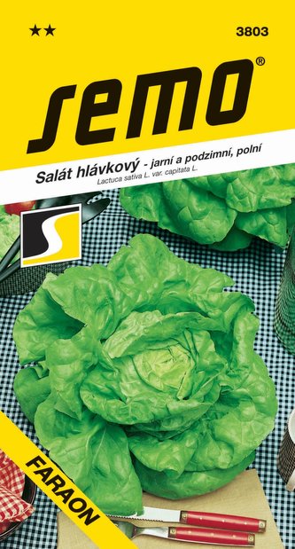 Salát jarní - Faraon polní (podzimní) 0,6g