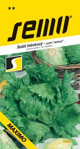 Salát ledový - Maximo polní velký 0,5g