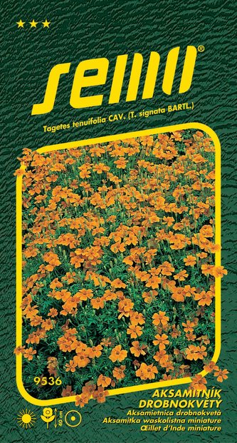 Aksamitník drobnokvětý - oranžový 0,2g