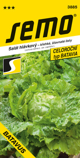 Salát hlávkový - Batavus PROFI polní 0,6g