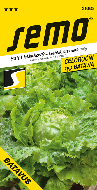 Salát hlávkový - Batavus PROFI polní 0,6g