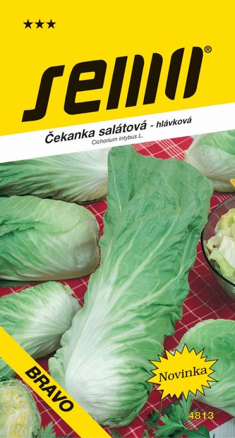 Čekanka hlávková zelená - Pan di Zucchero Bravo 0,3g