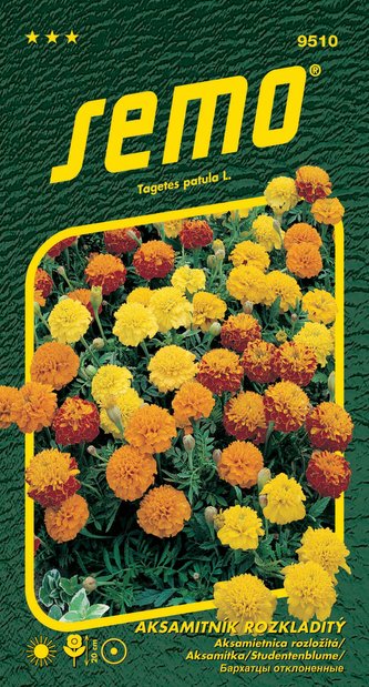 Aksamitník rozkladitý - Petit směs 1g