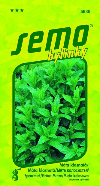 Máta klasnatá 0,1g