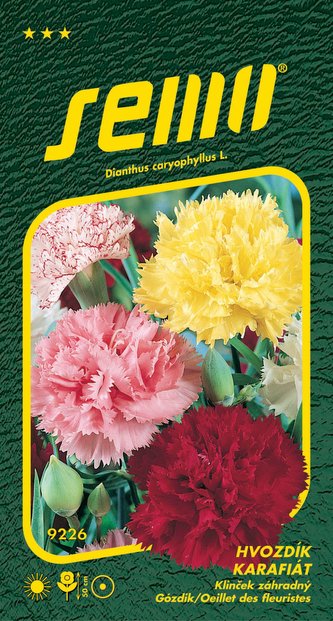 Hvozdík karafiát Chabaudův - směs 0,3g