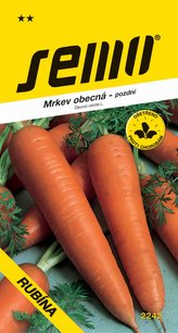 Mrkev - Rubína pozdní 3g