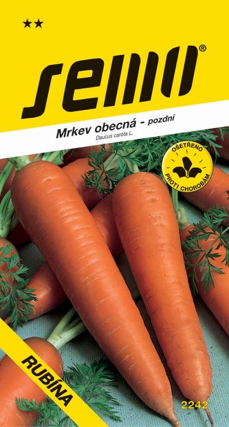 Mrkev - Rubína pozdní 3g