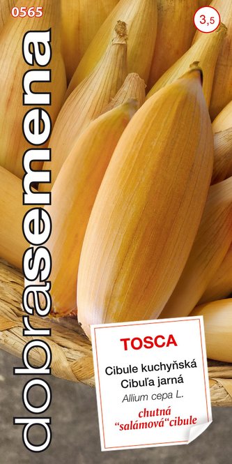 Dobrá semena Cibule jarní - Tosca žlutá, oválná 1g