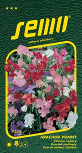 Hrachor vonný - Cupidon (25cm) 2g