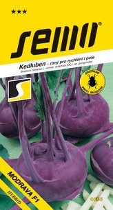 Kedluben modrý - Modrava F1 raný, pro pole 50s