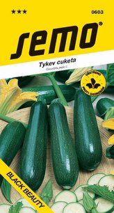 Tykev cuketa - Black Beauty tm. zelená 1,5g