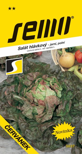 Salát jarní - Červánek polní 0,6g
