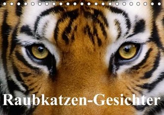 Raubkatzen-Gesichter (Tischkalender immerwährend DIN A5 quer)