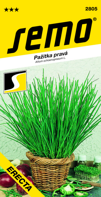 Pažitka - Erecta, vzpřímená 2g