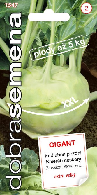 Dobrá semena Kedluben bílý - Gigant pozdní 0,8g