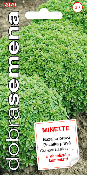 Dobrá semena Bazalka pravá - Minette drobnolistá 0,6g  (ZÁRUKA 2024)
