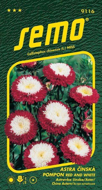 Astra čínská - Pompon red and white 0,5g