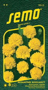 Aksamitník rozkladitý - Petit žlutý 1g