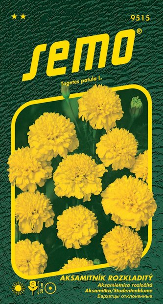 Aksamitník rozkladitý - Petit žlutý 1g