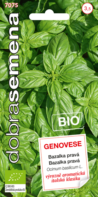 Dobrá semena BIO Bazalka pravá - Genovese 0,6g