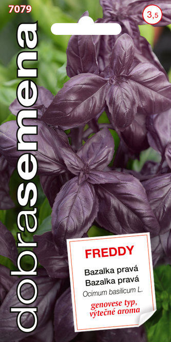 Dobrá semena Bazalka pravá - Freddy, typ Genovese 0,3g