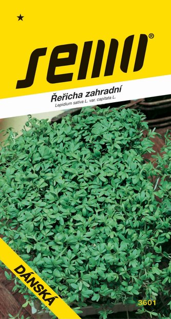 Řeřicha zahradní - Dánská, celoroční 6g