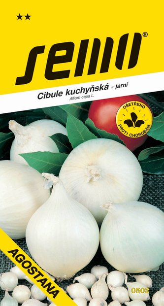 Cibule jarní - Agostana bílá 1g