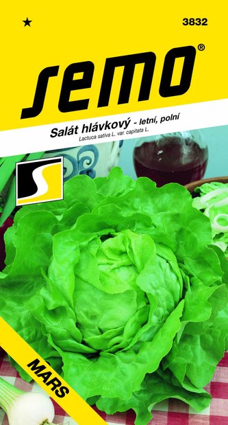 Salát letní - Mars PROFI polní 0,3g